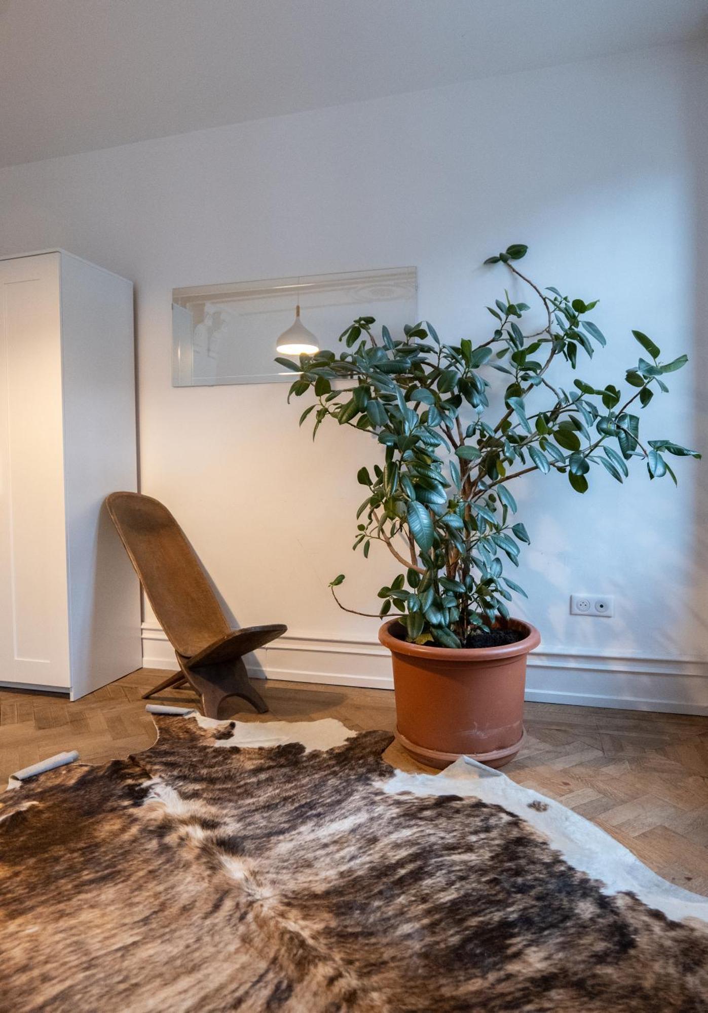 Les Appartements Rue Des Veaux - Quartier Cathedrale Strasbourg Bagian luar foto